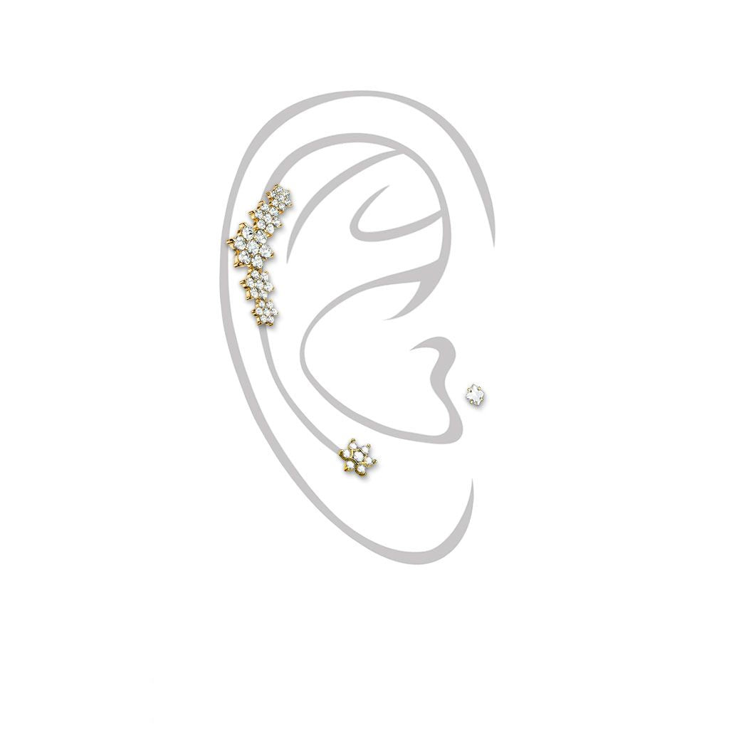 Composition fleurie pour piercing cartilage et tragus