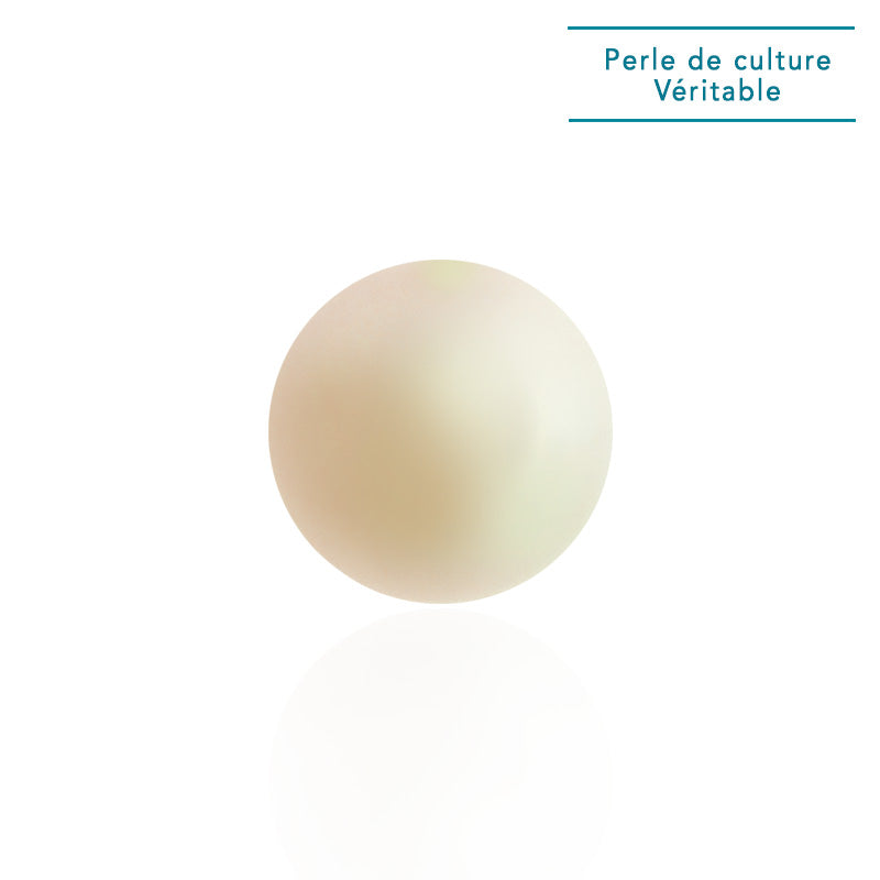 Piercing à visser : perle de culture véritable