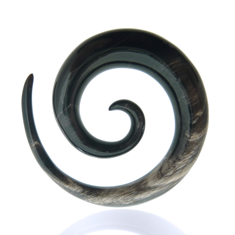 Piercing écarteur spirale corne buffle