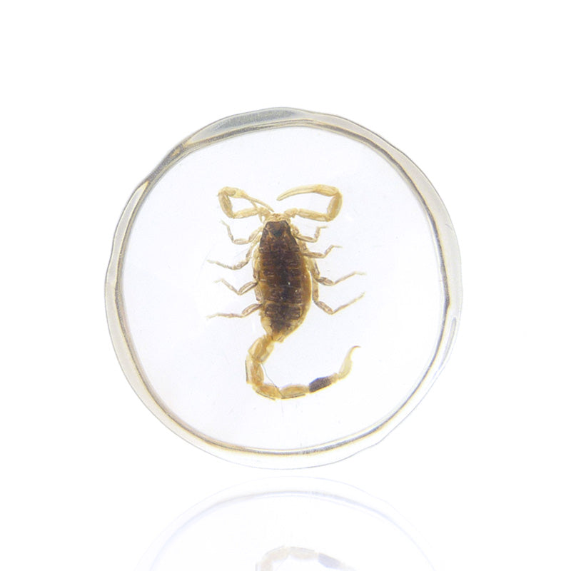 Piercing plug oreille avec scorpion