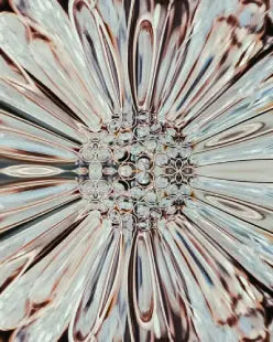La gamme de piercing en cristal de Swarovski