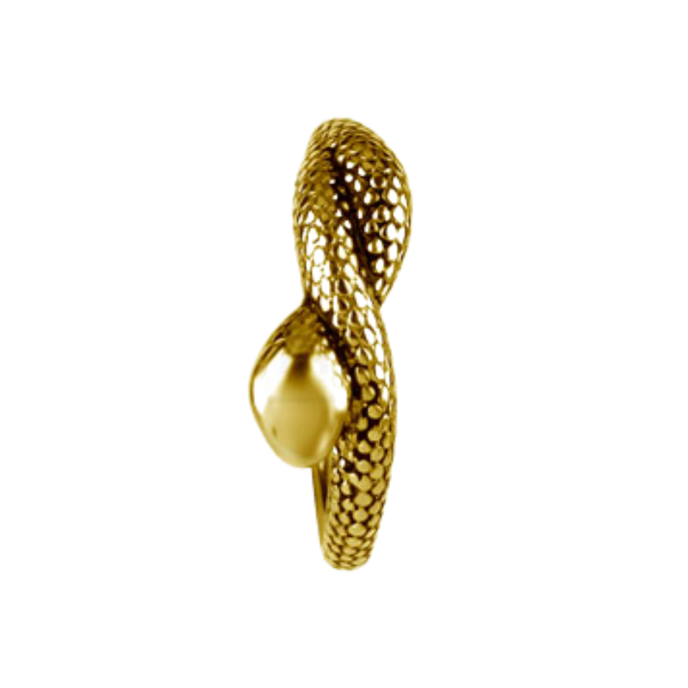 Piercing conch serpent PVD or 24K