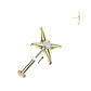 Piercing étoile avec brillant — Titane ASTM F136, push-in