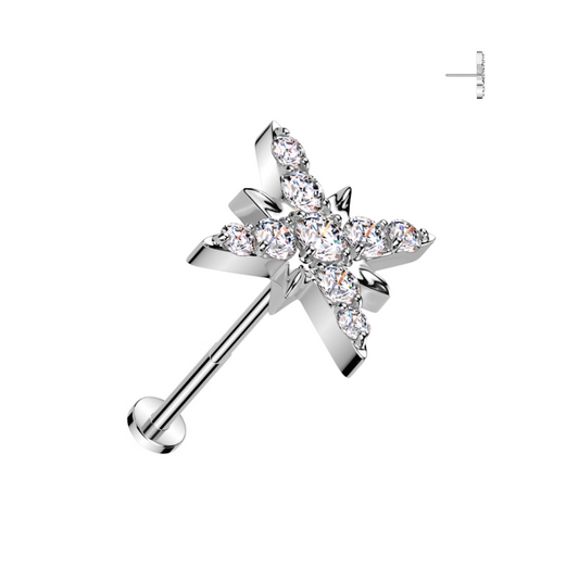 Piercing cartilage titane étoile rose des vents