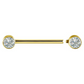 Bijou téton en pvd gold