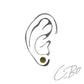 Piercing faux plug en bois exotique clair
