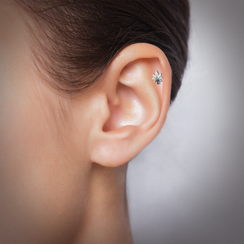 Piercing d'oreille avec feuille de cannabis