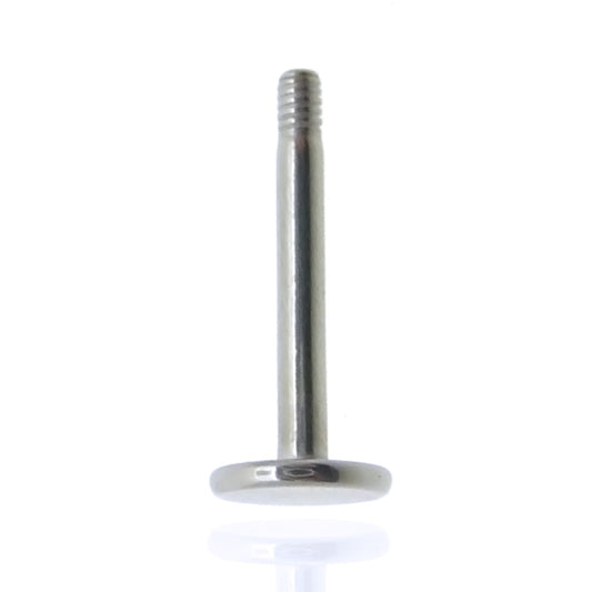 Piercing labret en acier chirurgical